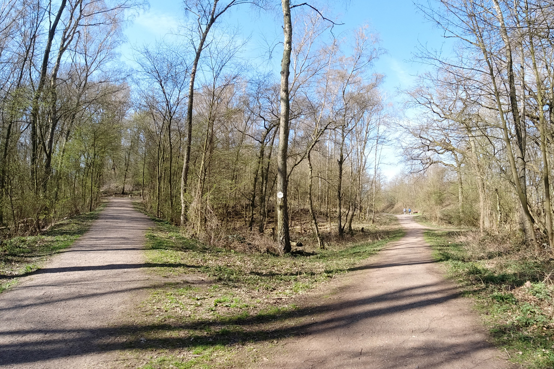 Anstieg Aussichtsplattform Wolfssee