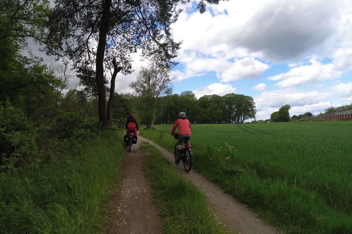 Holtumer Wald
