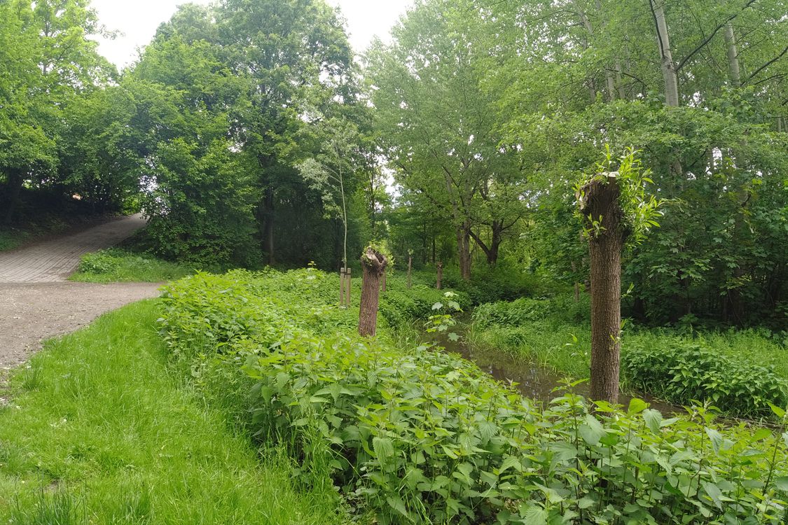 Biegerpark