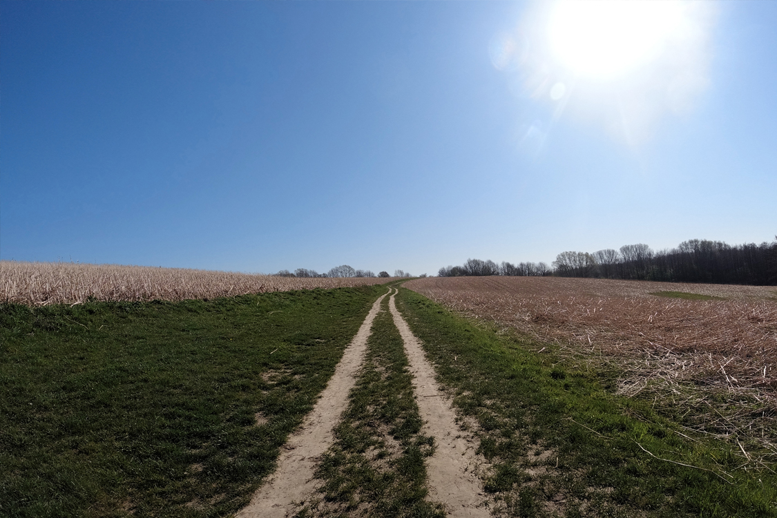 Oberhalb vom Bauernhof Groß-Ilbeck