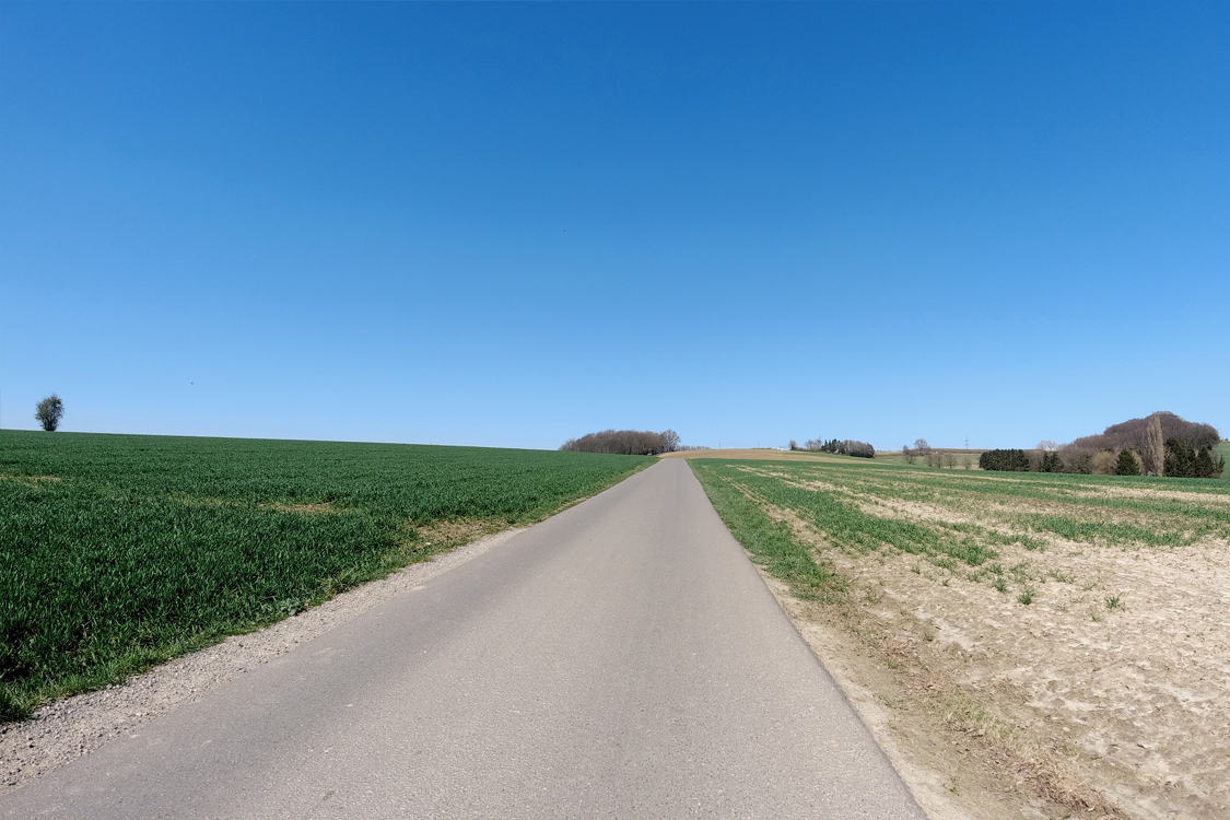 Anstieg Heiligenhauser Weg