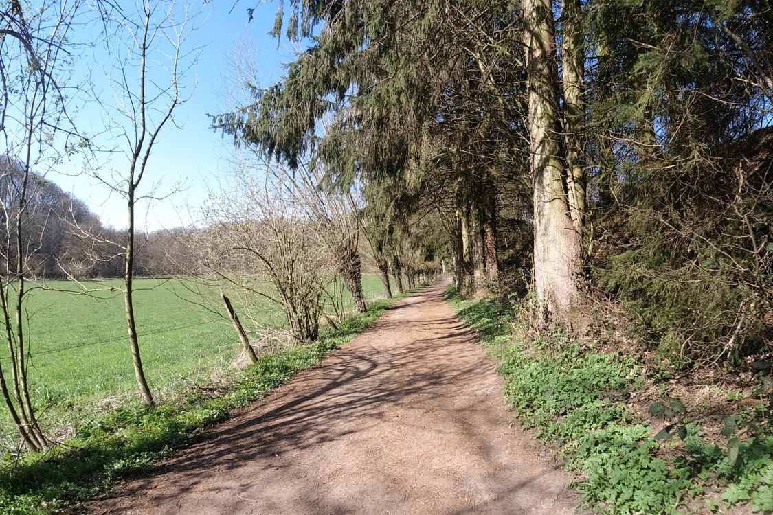 Euroga-Radweg am Angerbach