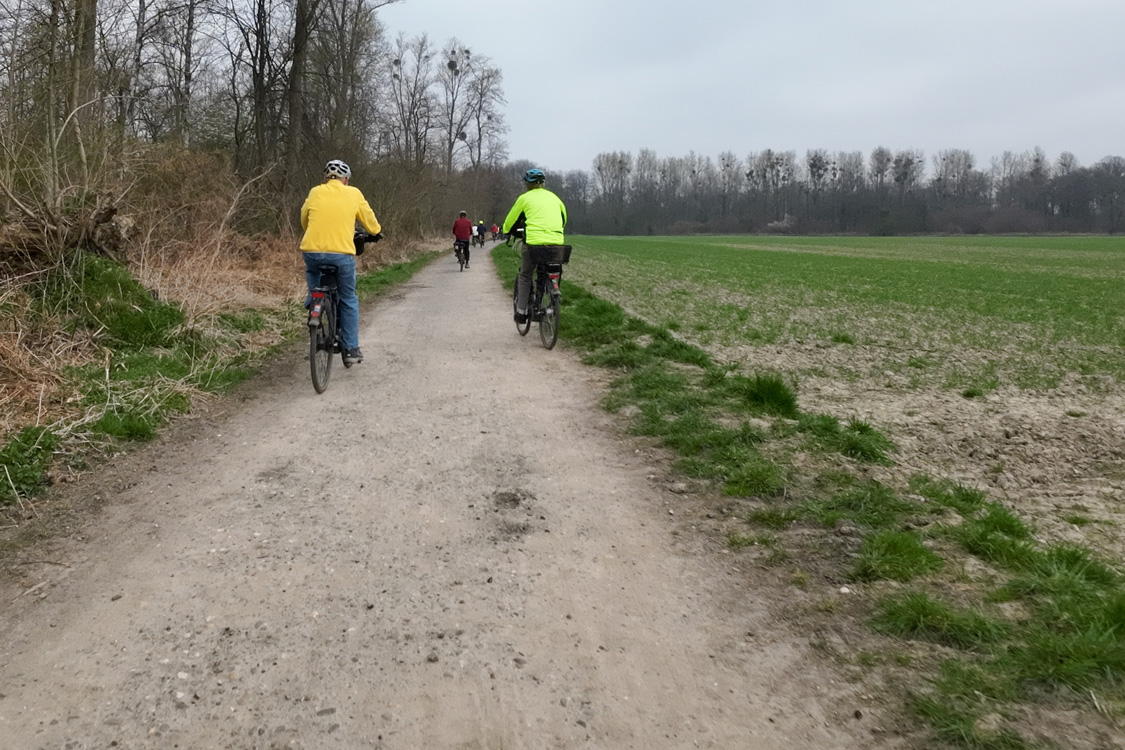 Im Bennenbruch