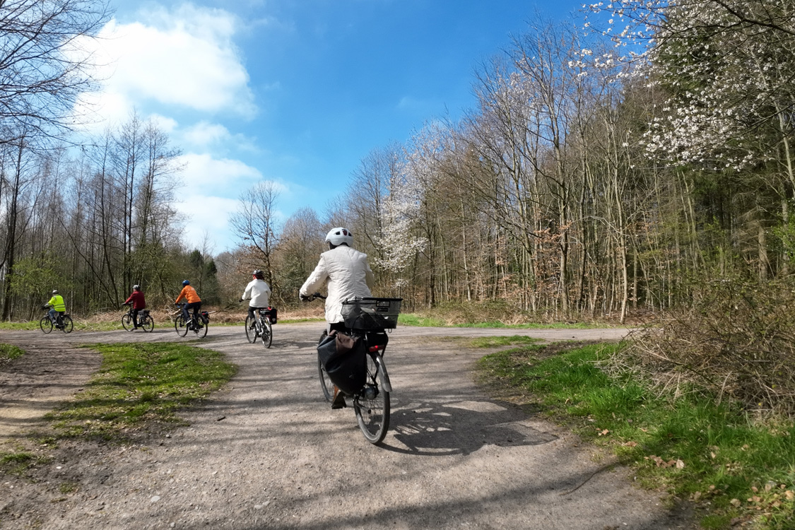 Steinderforst 1