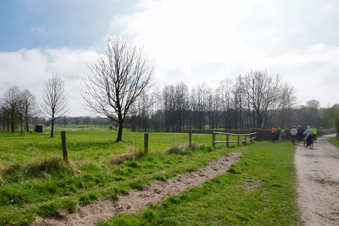 Steinderforst 2