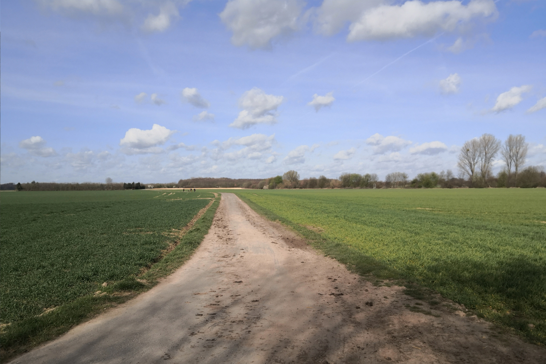 Freies Feld bei Lank-Latum