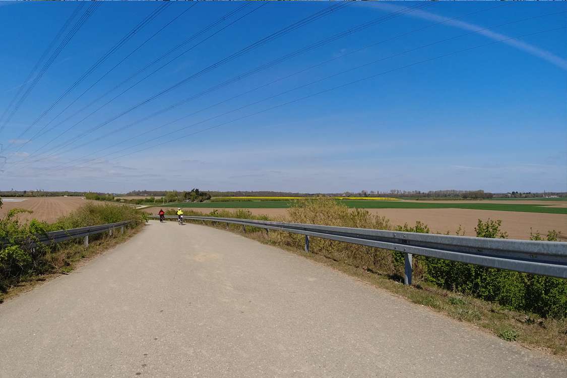 Wieder am Viehgasser Weg