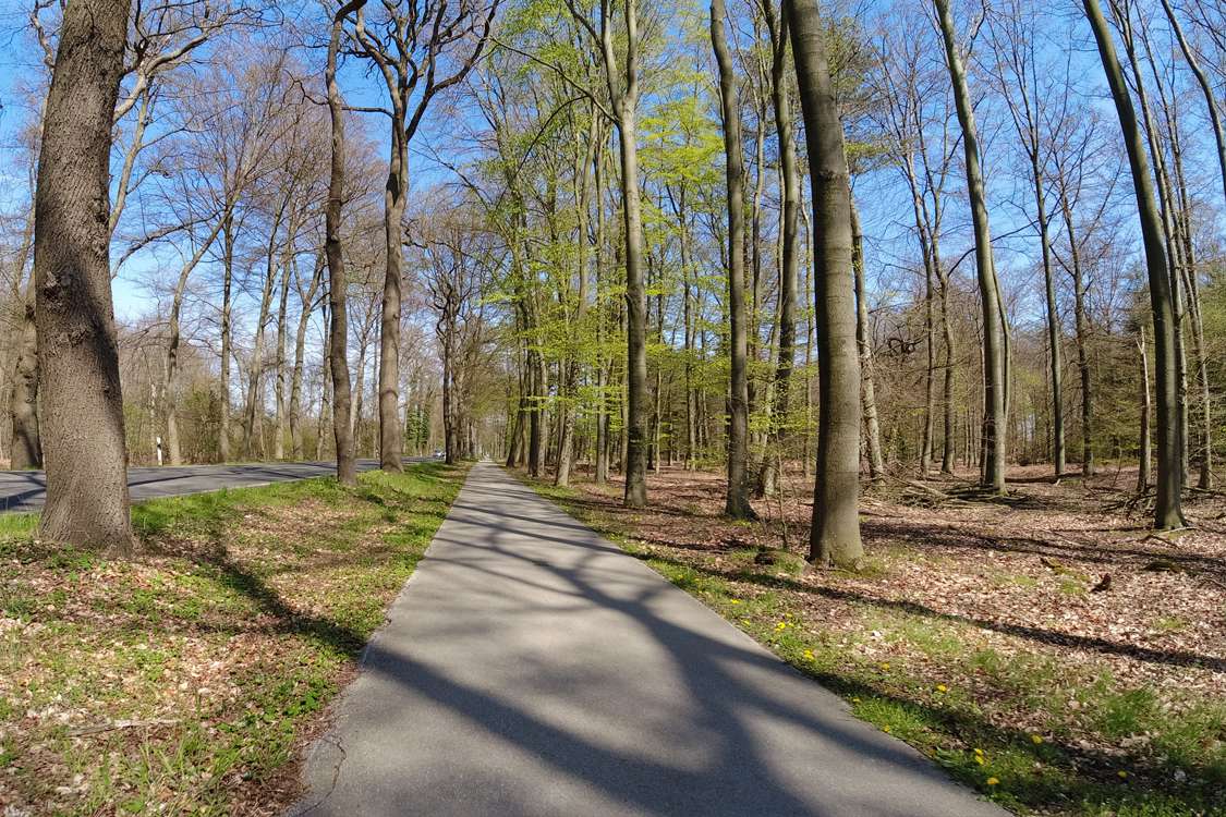 Lintorfer Waldstraße