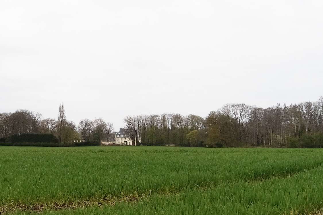 Schloss Pesch