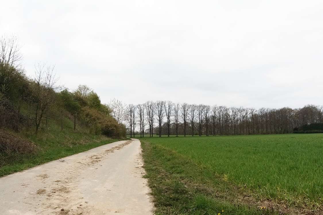 Bei Schloss Pesch
