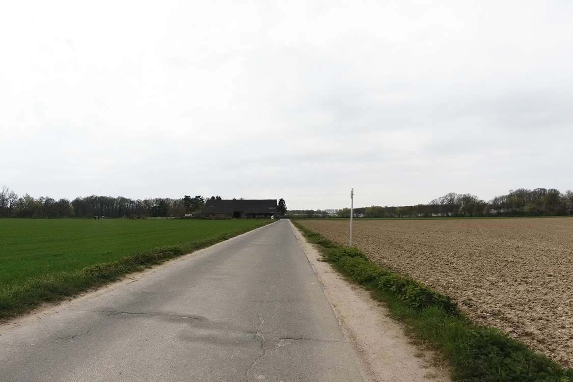 Auf der Straße "Zur alten Burg"
