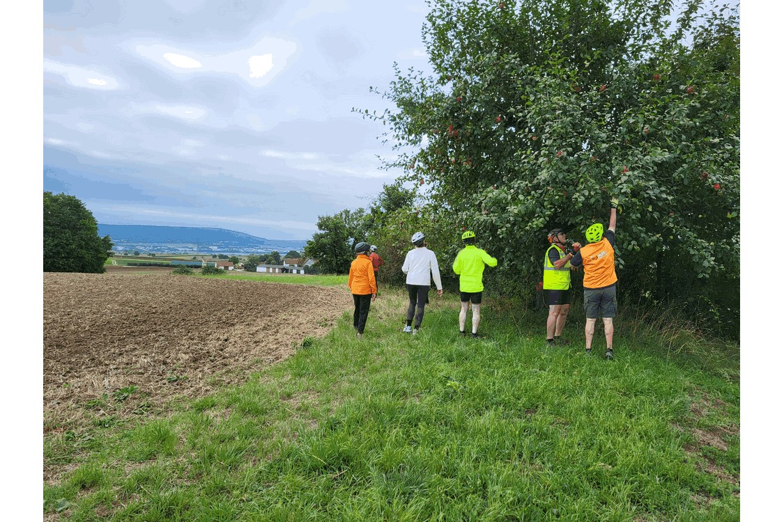 Obstbäume wirken auf uns wie ein Magnet