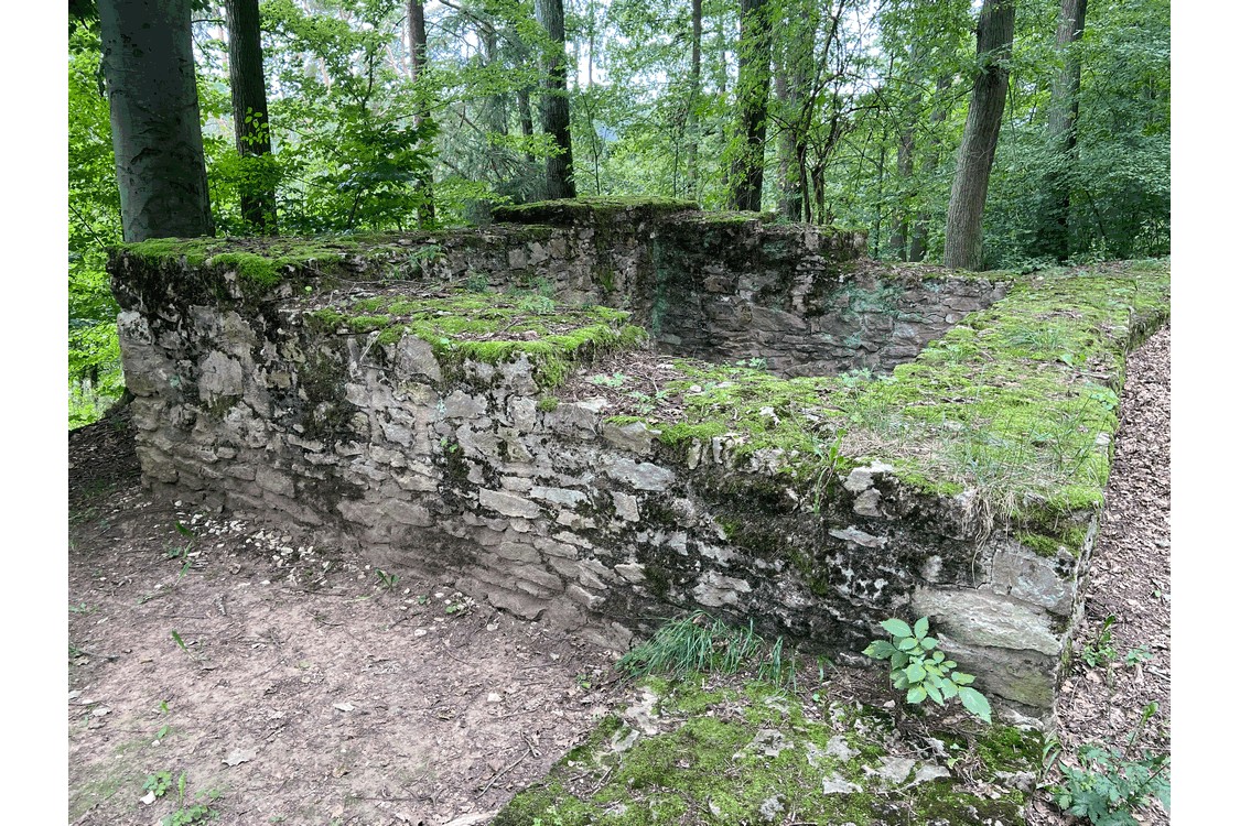 Ein Relikt des Limes