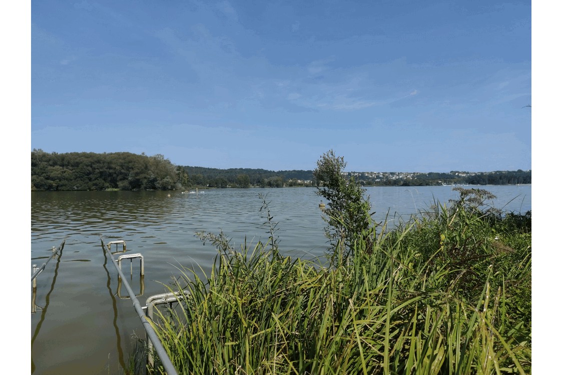 Das Wasser lockt