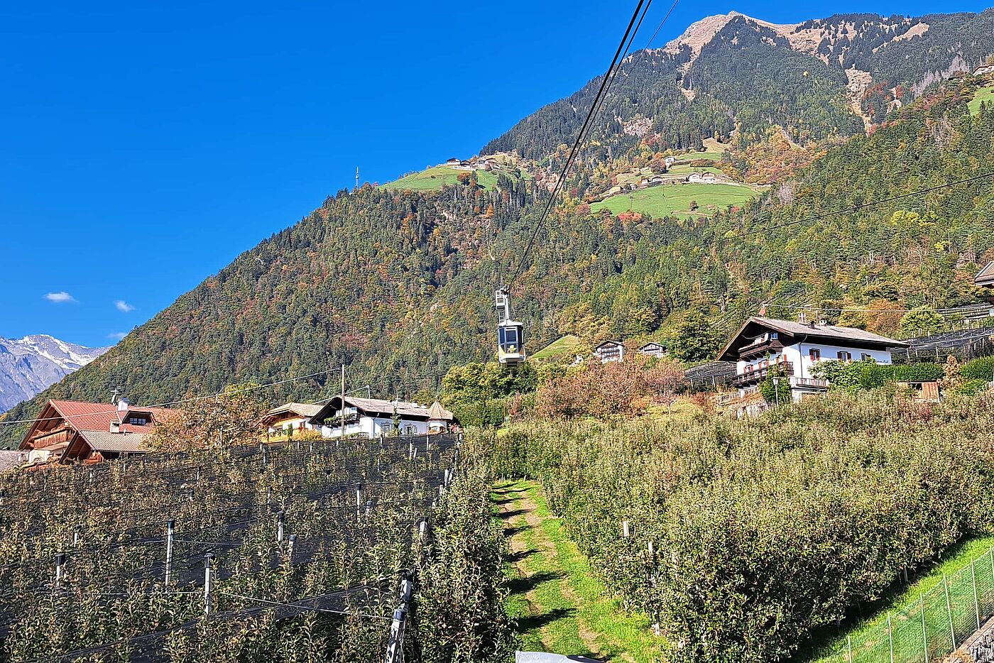 10. Da wollen wir hoch Da wollen wir hoch