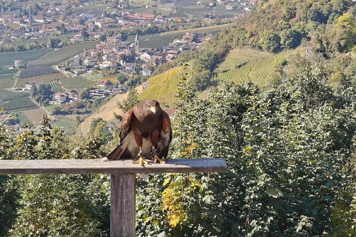 Oder wundern sie sich über uns? Oder wundern sie sich über uns?