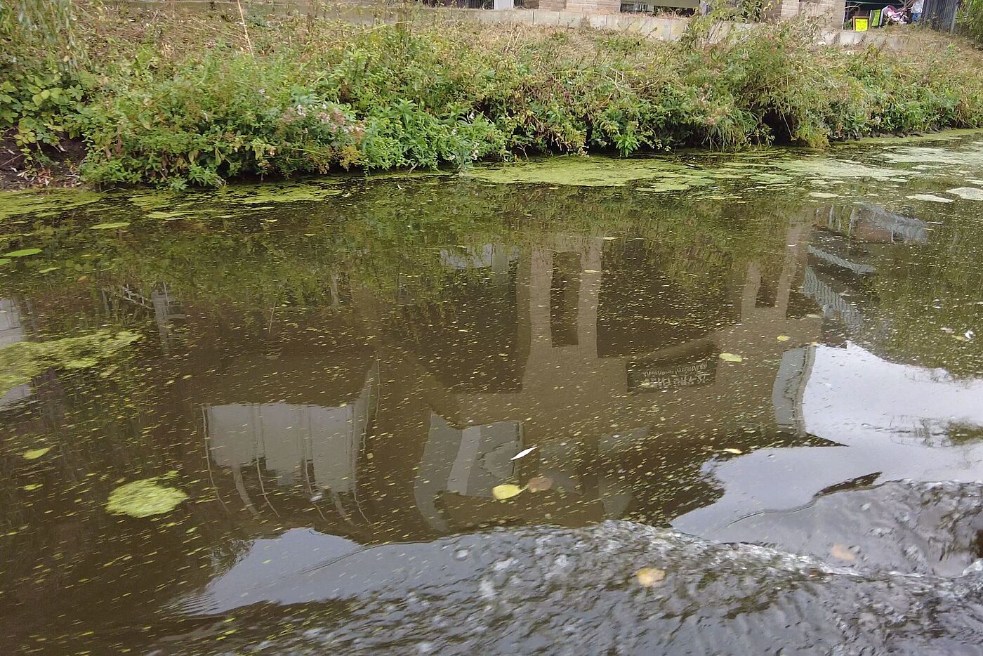 Eine Stadtführung auf dem Schiff durch Nordhorn