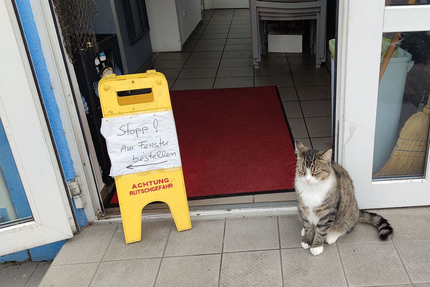 In Stahlbrode: Die Katze kann deutsch!