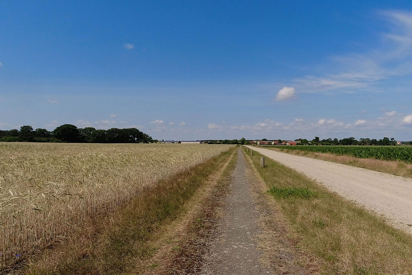 Der "Radweg" ist asphaltiert!
