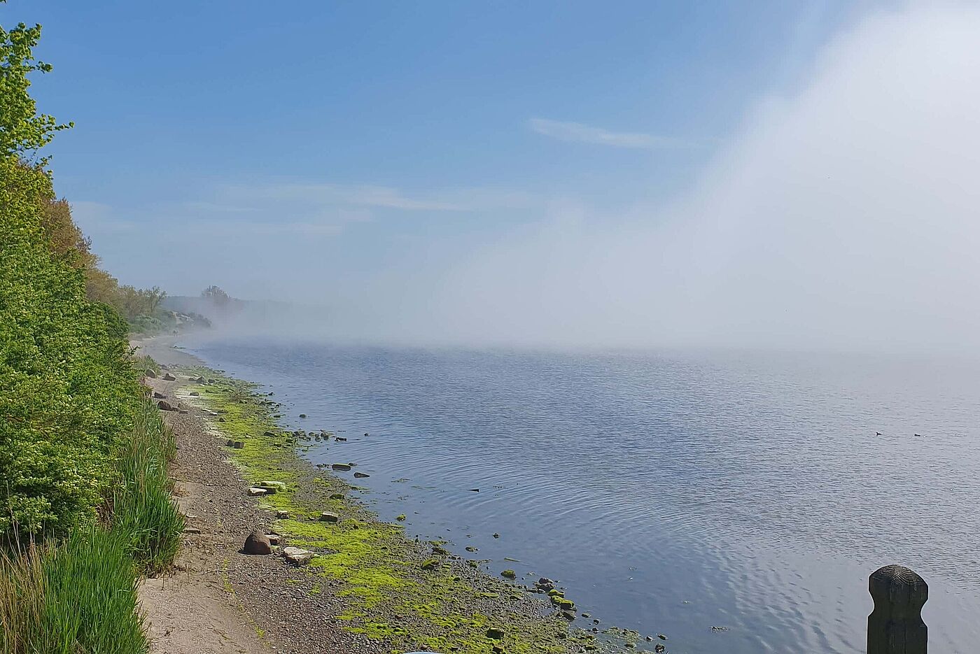 Nebel vor dem Schmiedeberg