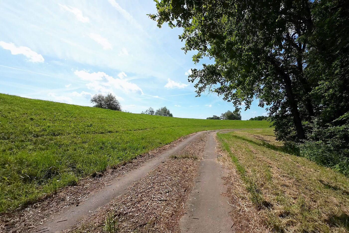 Auf dem Deich bei Schnackenburg