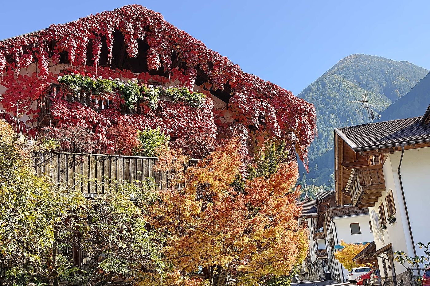 05. Ein völlig mit Efeu dekoriertes Haus in Sankt Leonhard 05. Ein völlig mit Efeu dekoriertes Haus in Sankt Leonhard