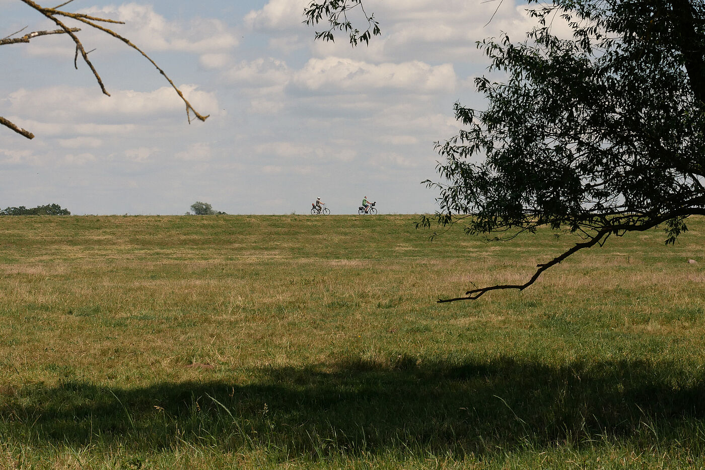 Auf dem Deich bei Lütkenwisch
