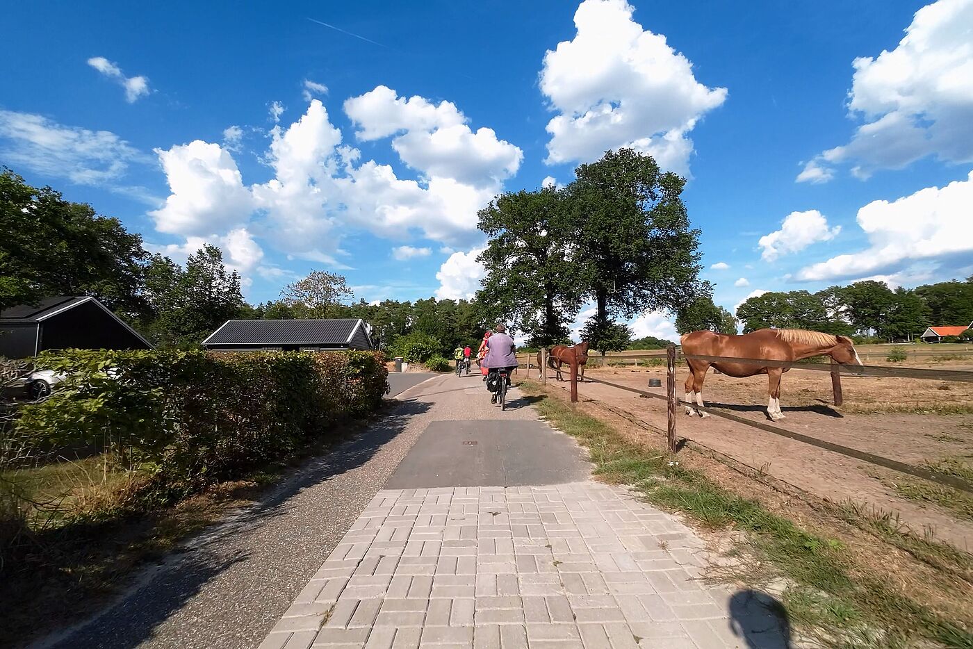 Eine schöne Landschaft