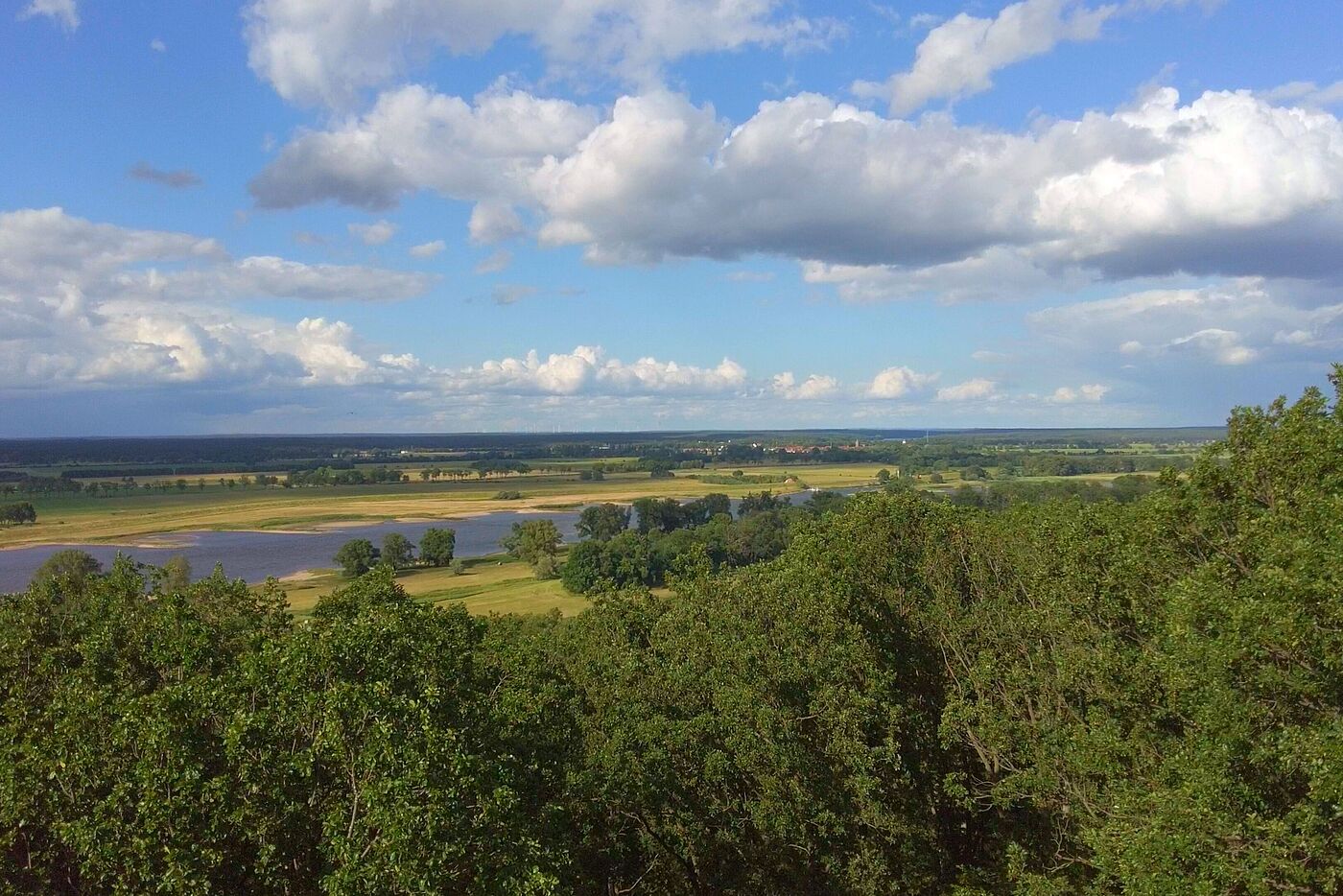 Blick vom Höhbeck auf die Elbe in Richtung Lenzen