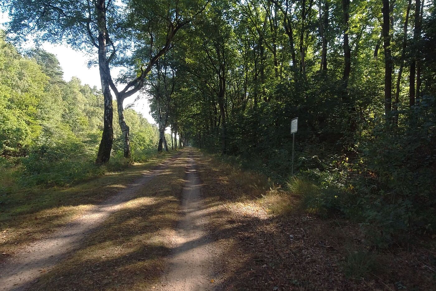 Am Ems-Vechte-Kanal
