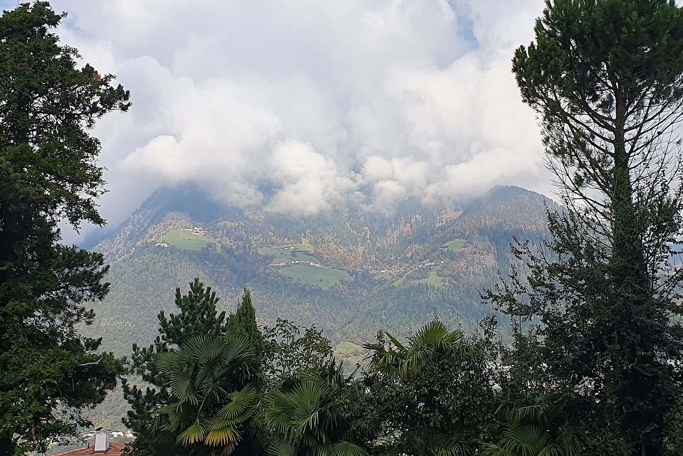 Noch liegt Hochnebel über den Muthhöfen Noch liegt Hochnebel über den Muthhöfen