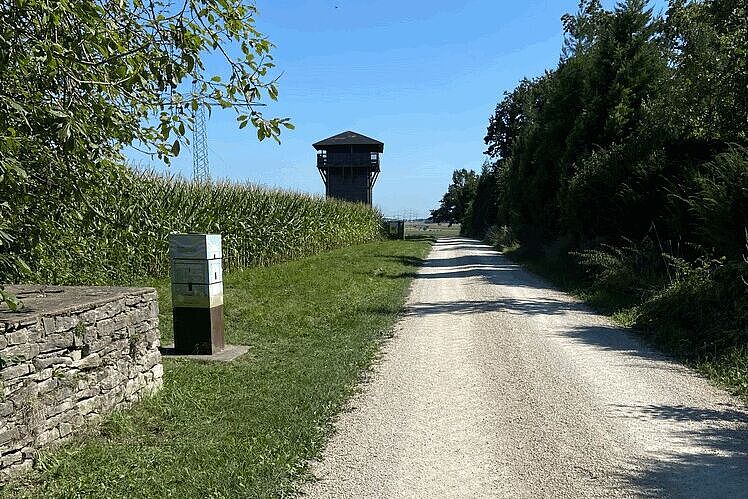 Wachturm
