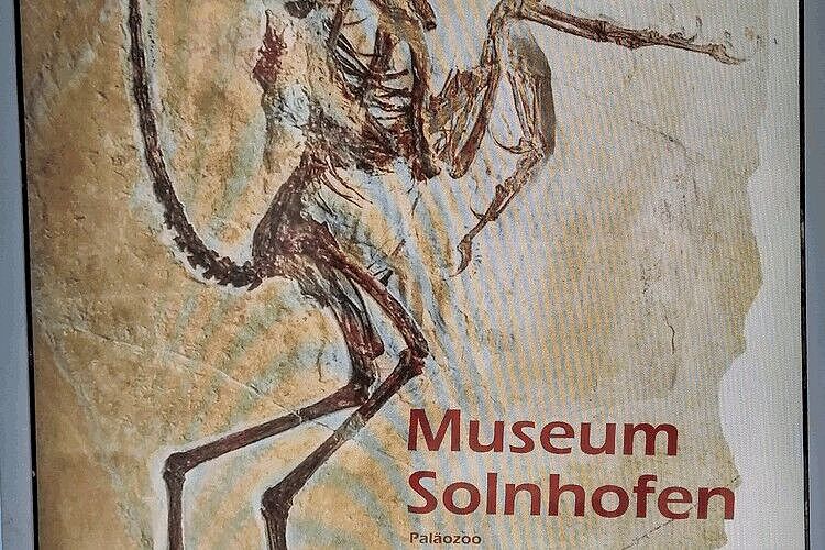 Wir gehen ins Museum