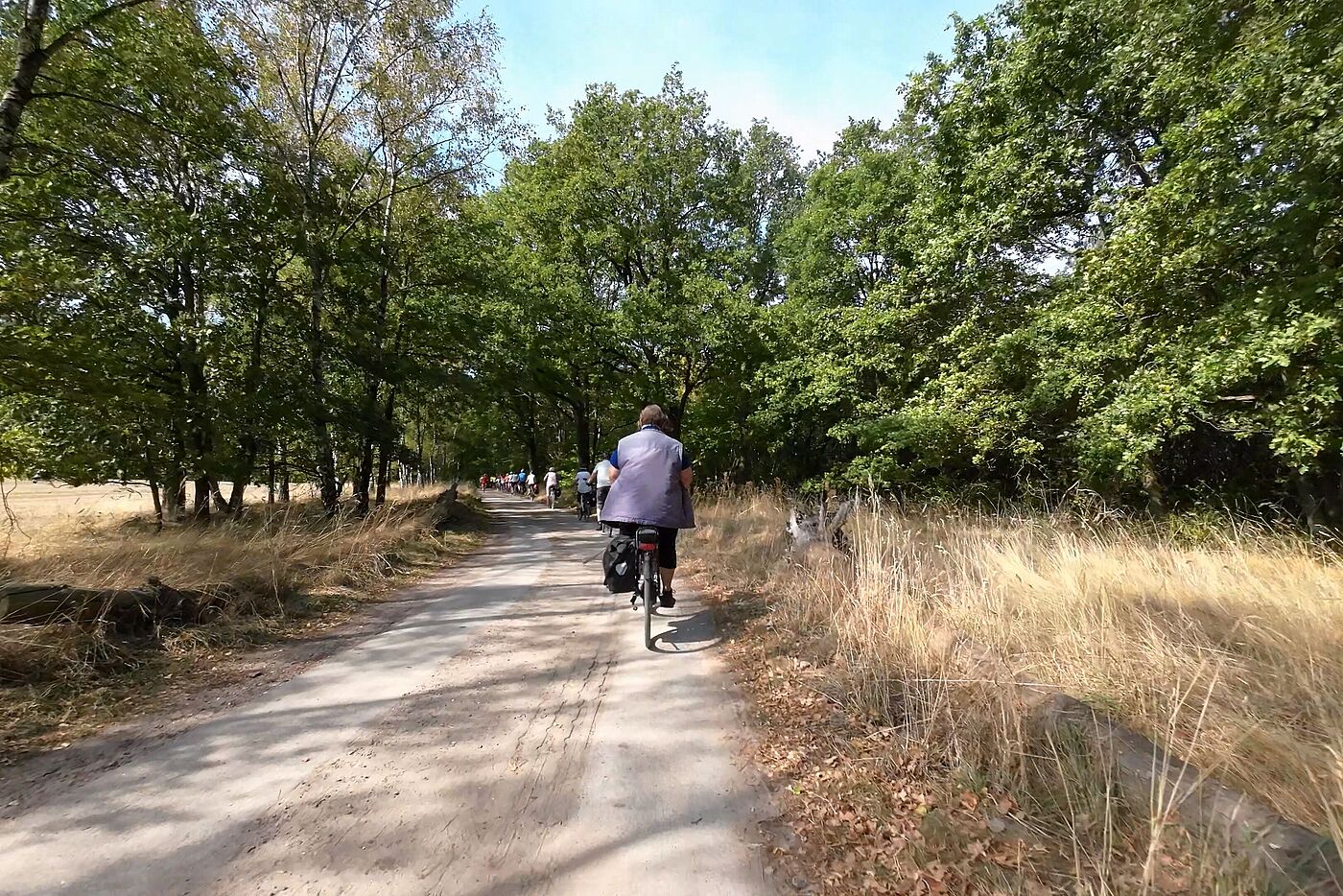 Im Lutterzand