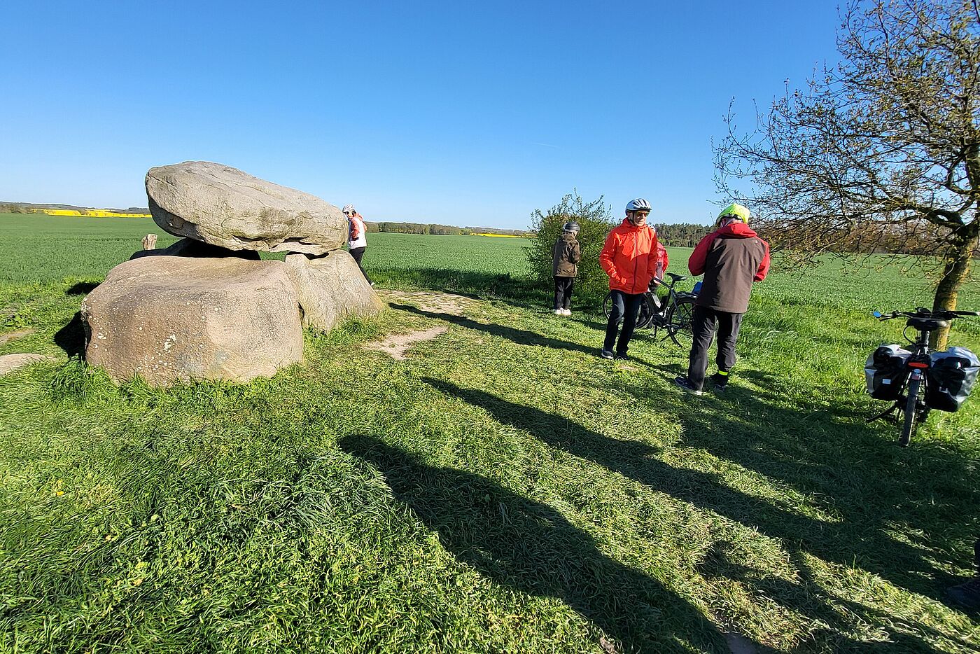 Urdolmen von Neu Gaarz zwischen Rerik und Mechelsdorf