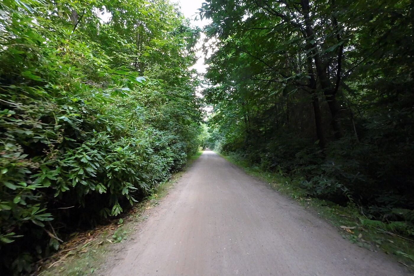 AUf dem Weg nach Oldenzaal