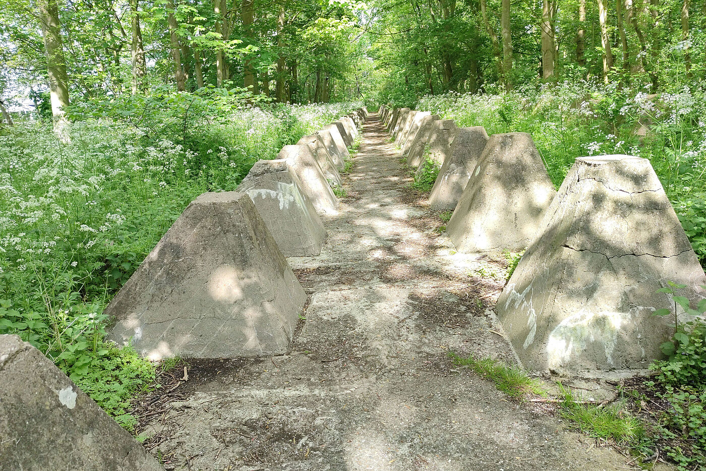Wir kommen da durch - Fiets sind keine Panzer