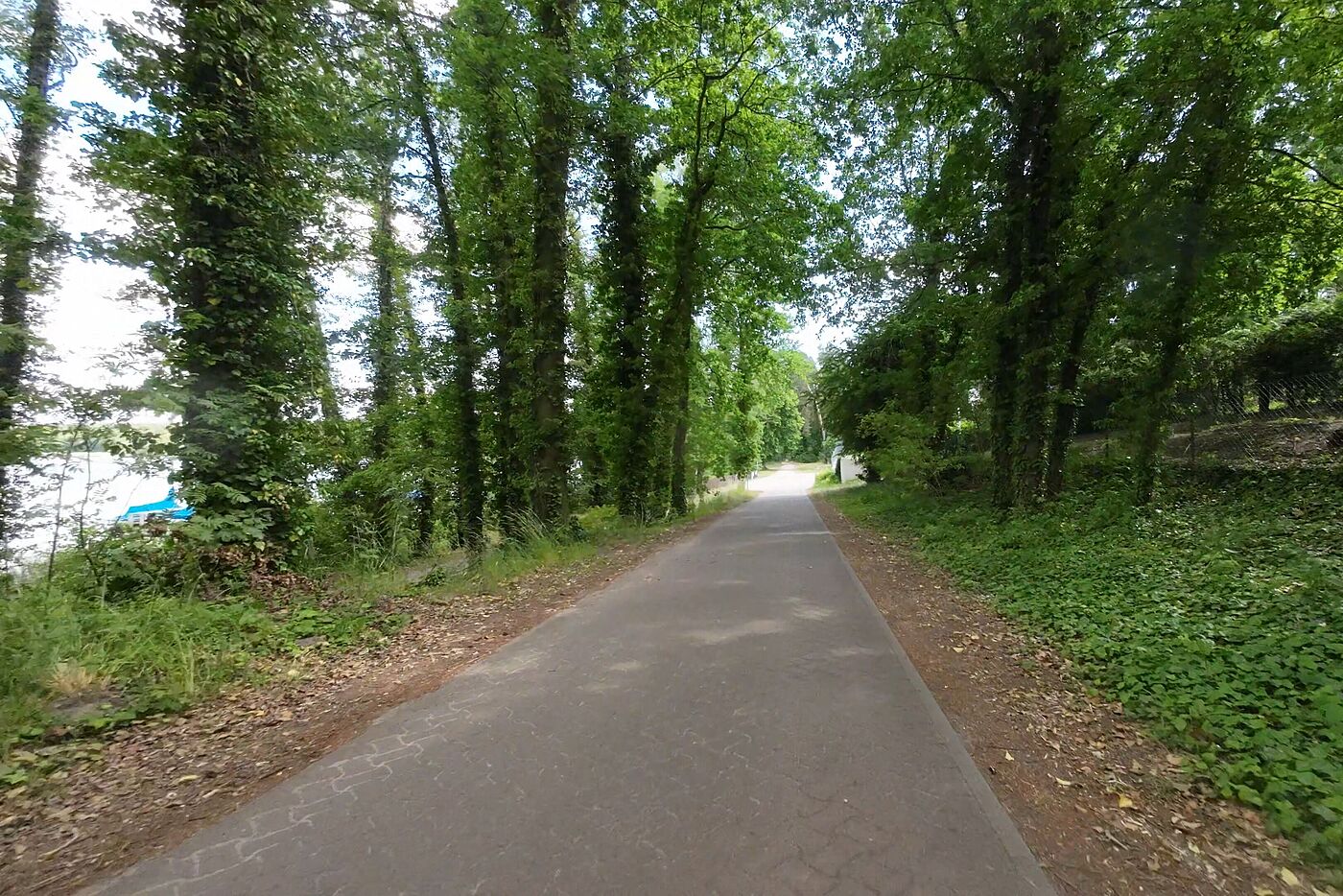 Zwischen Arendsee (See) und Arendsee (Stadt)