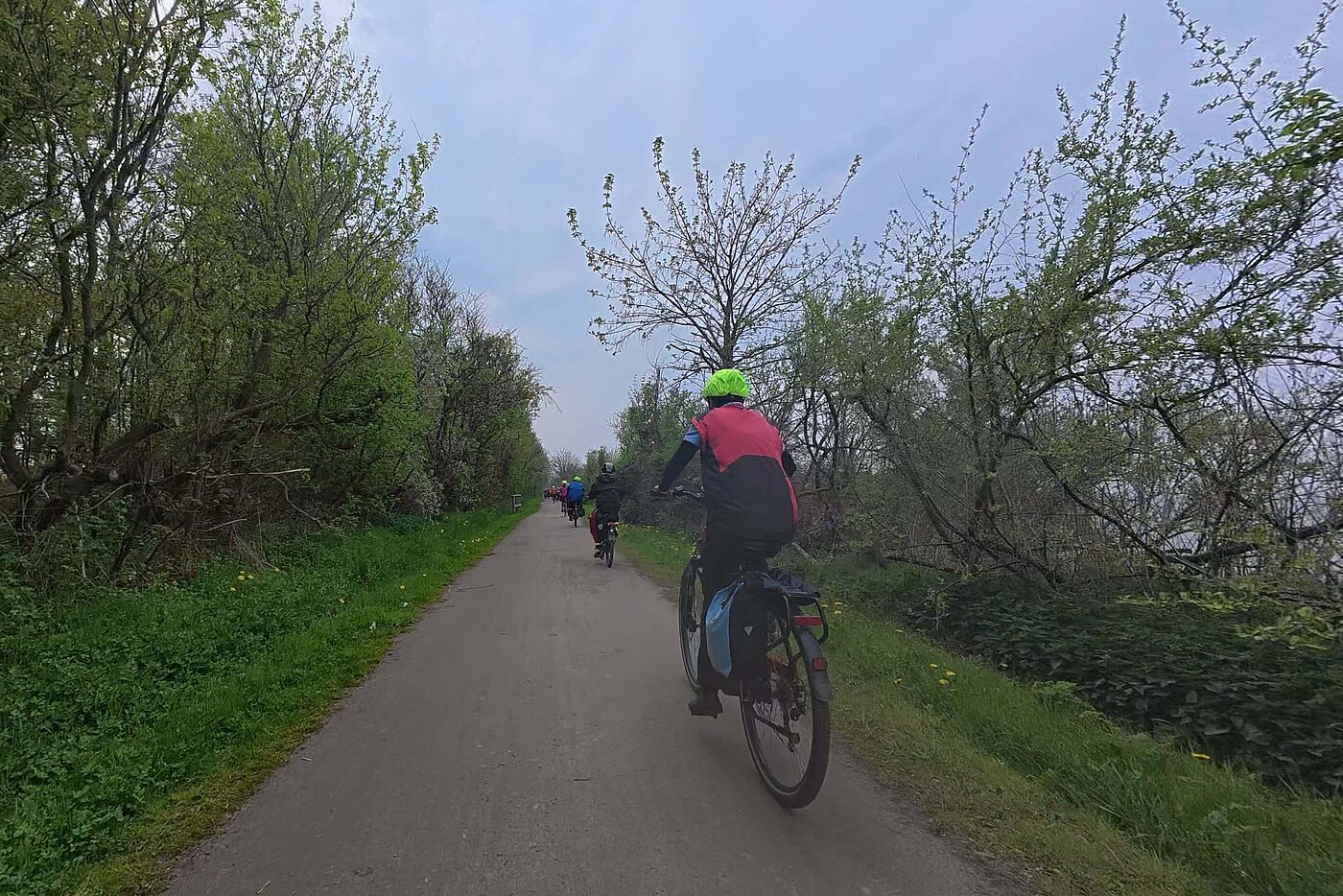 Auf dem Ostseeradweg sieht es dann aber besser aus