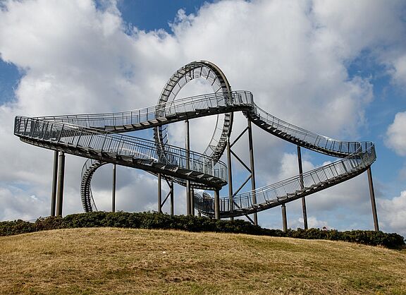 Tiger and Turtle