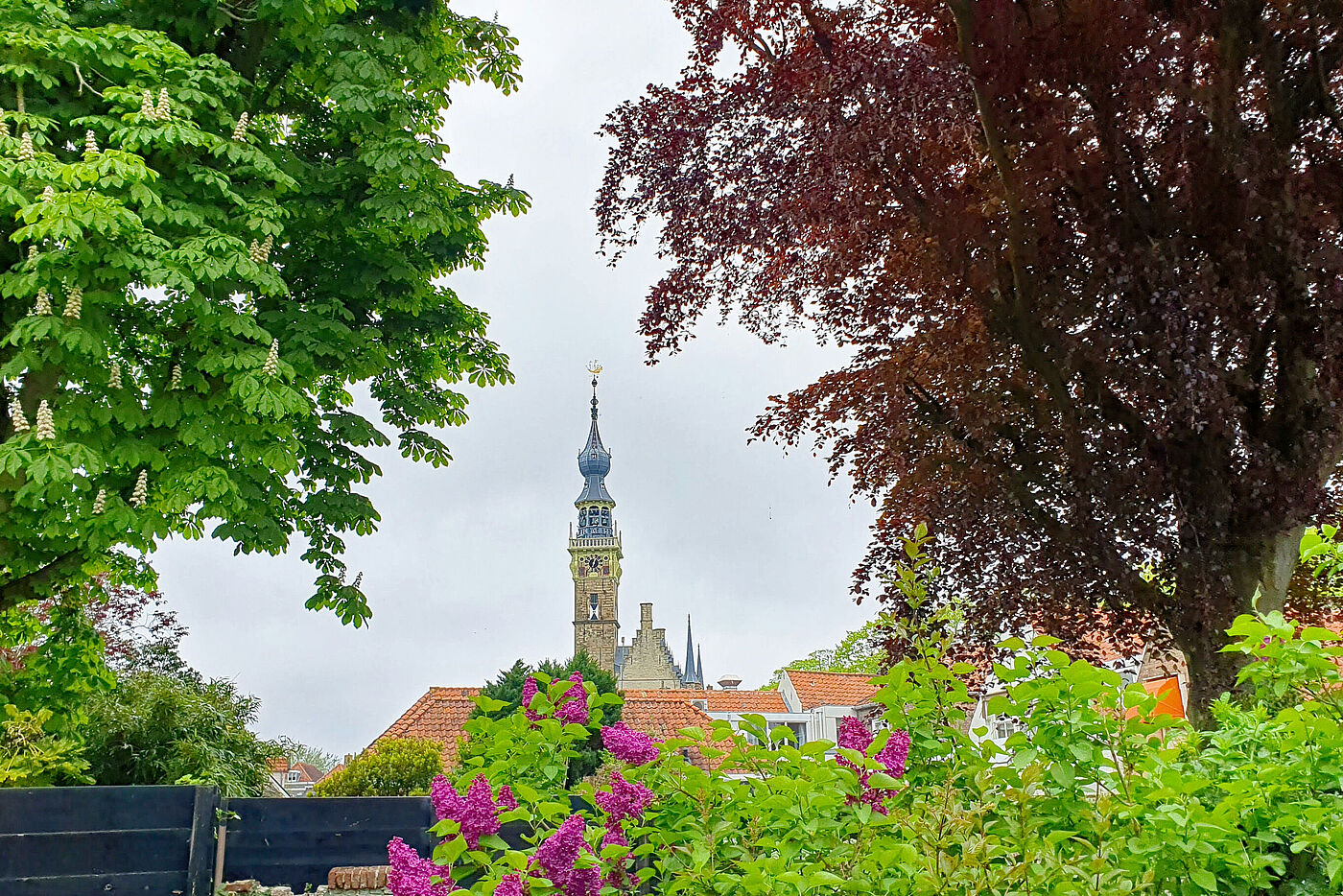 Ein Blick zum "Stadhuis van Veere"