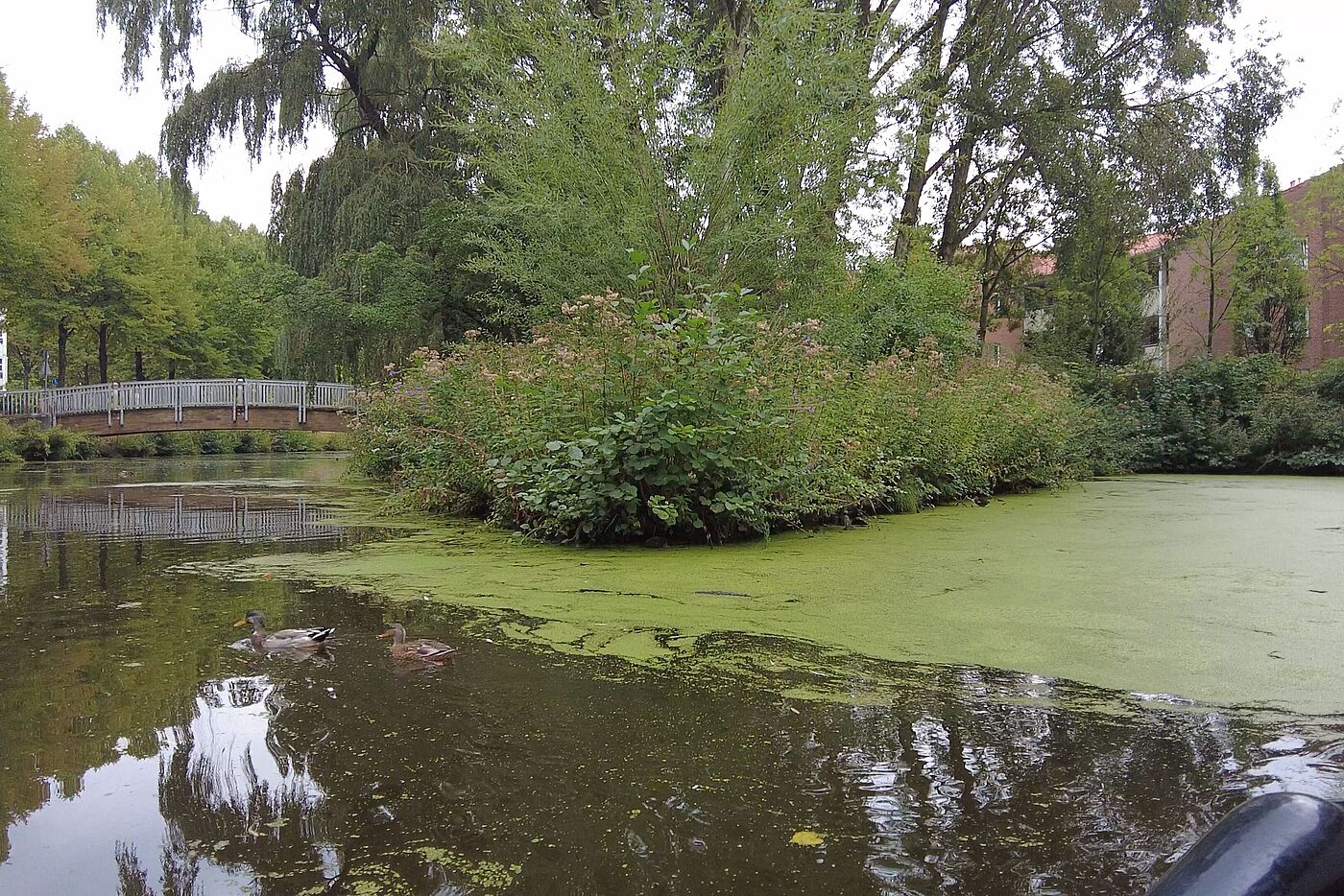 Eine Stadtführung auf dem Schiff durch Nordhorn