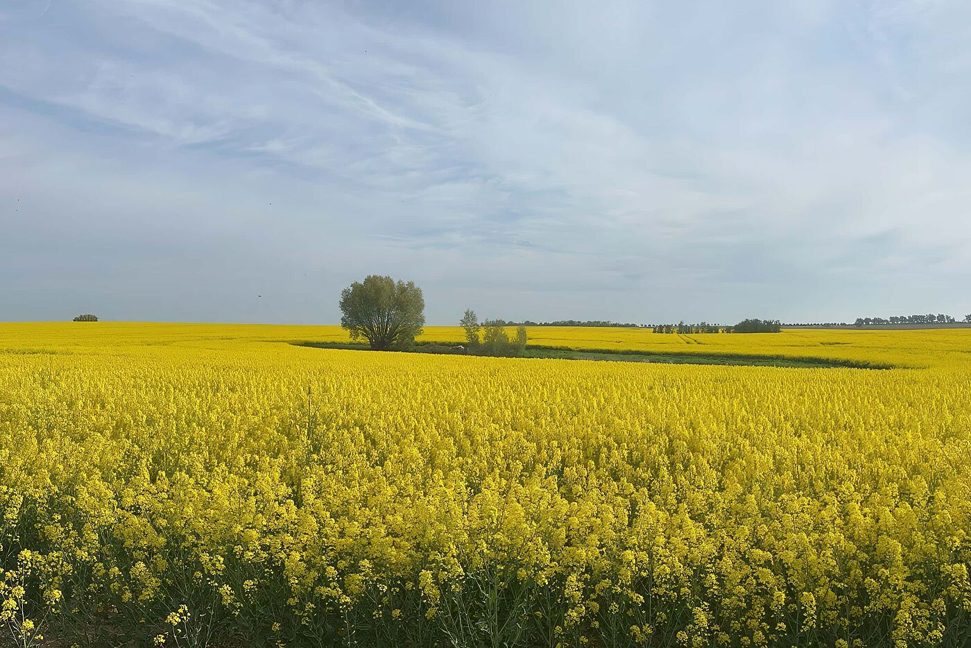Auf dem Weg nach Kühlungsborn