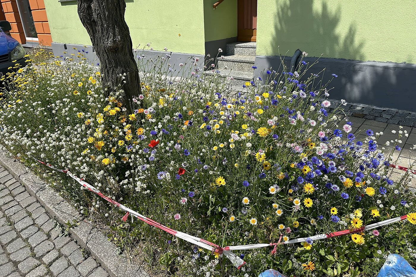 davor muss es aber auch ...