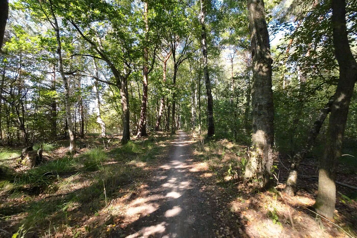 Am Grenzweg zu den Niederlanden 2