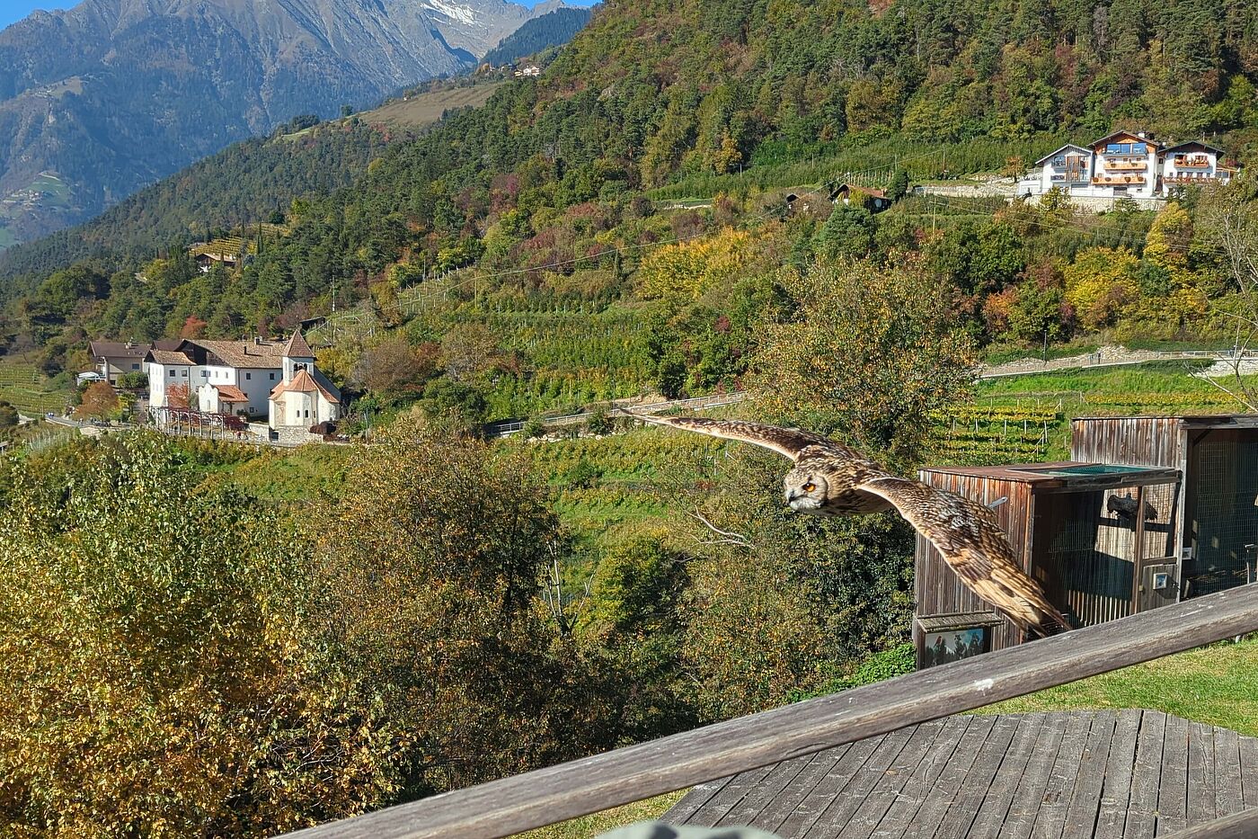 Manchmal hört man sie ... Manchmal hört man sie ...