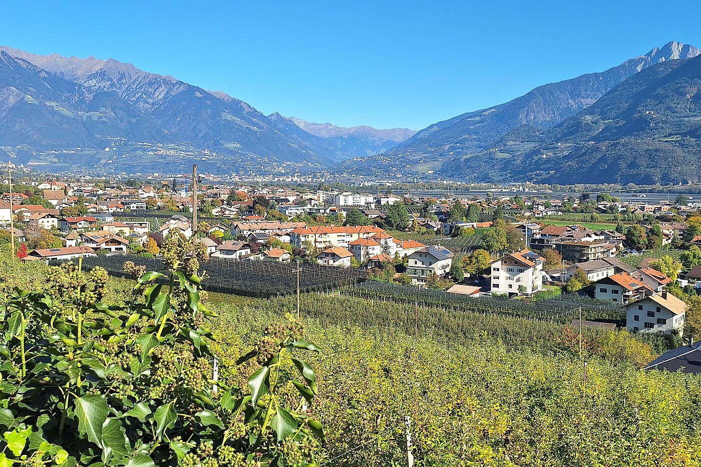 Der Blick von Lana auf das Etschtal bei Meran Der Blick von Lana auf das Etschtal bei Meran