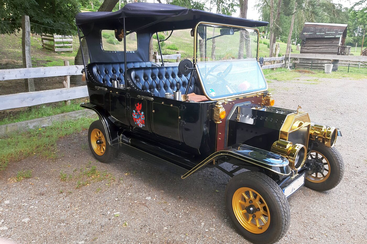 Ein besonderer Chauffeur