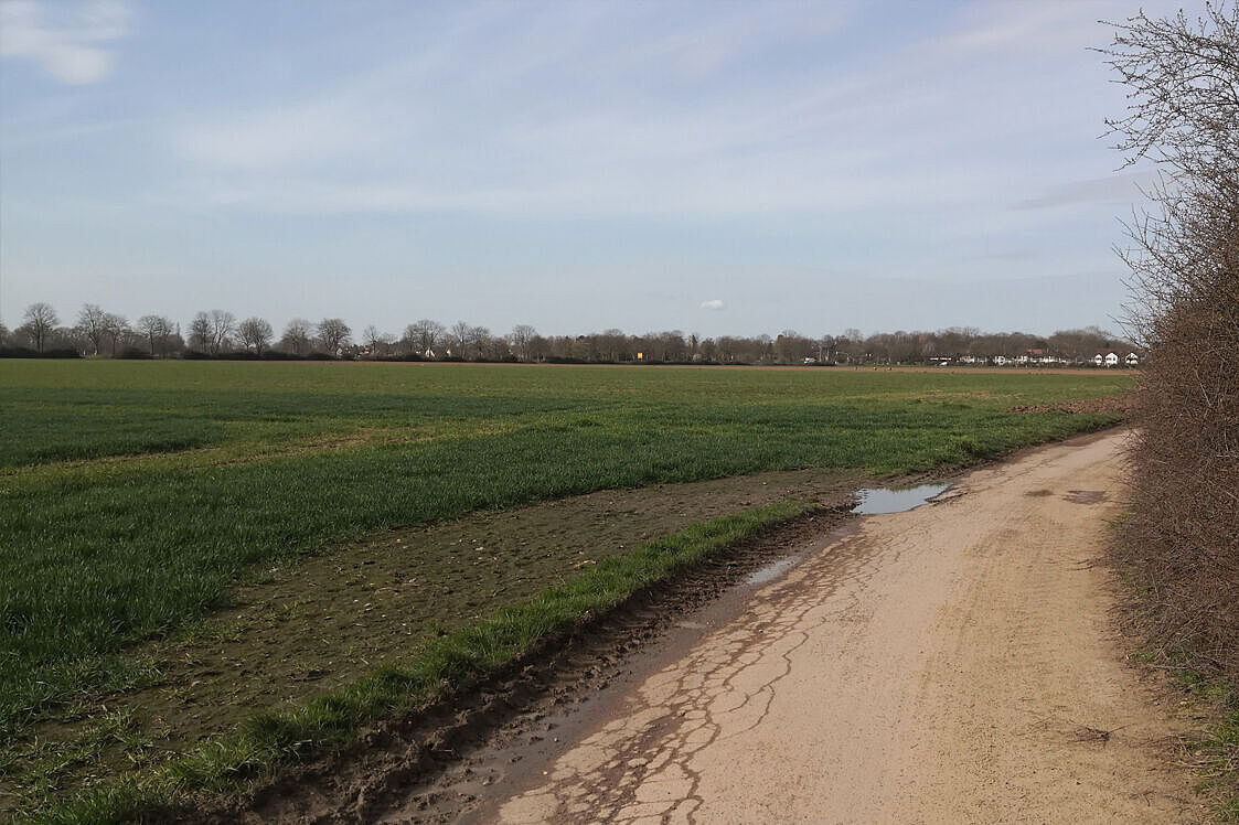 Feld vor Kalkum