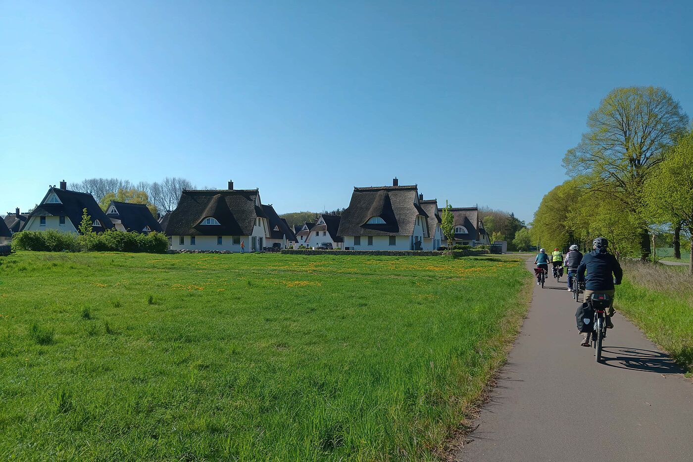 Eine Feriensiedlung in Pepelow: Ein Beispiel, wie mit einfacher Wiederholung kein besseres Erscheinungsbild entsteht
